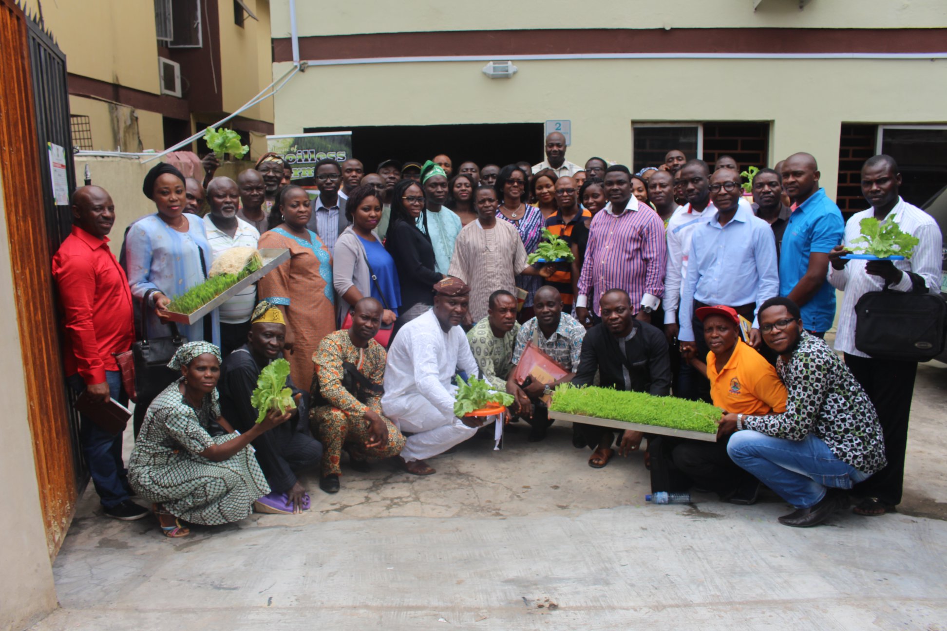 Nigeria's Small Farmers Embrace Hydroponics - Solutions&Co ...